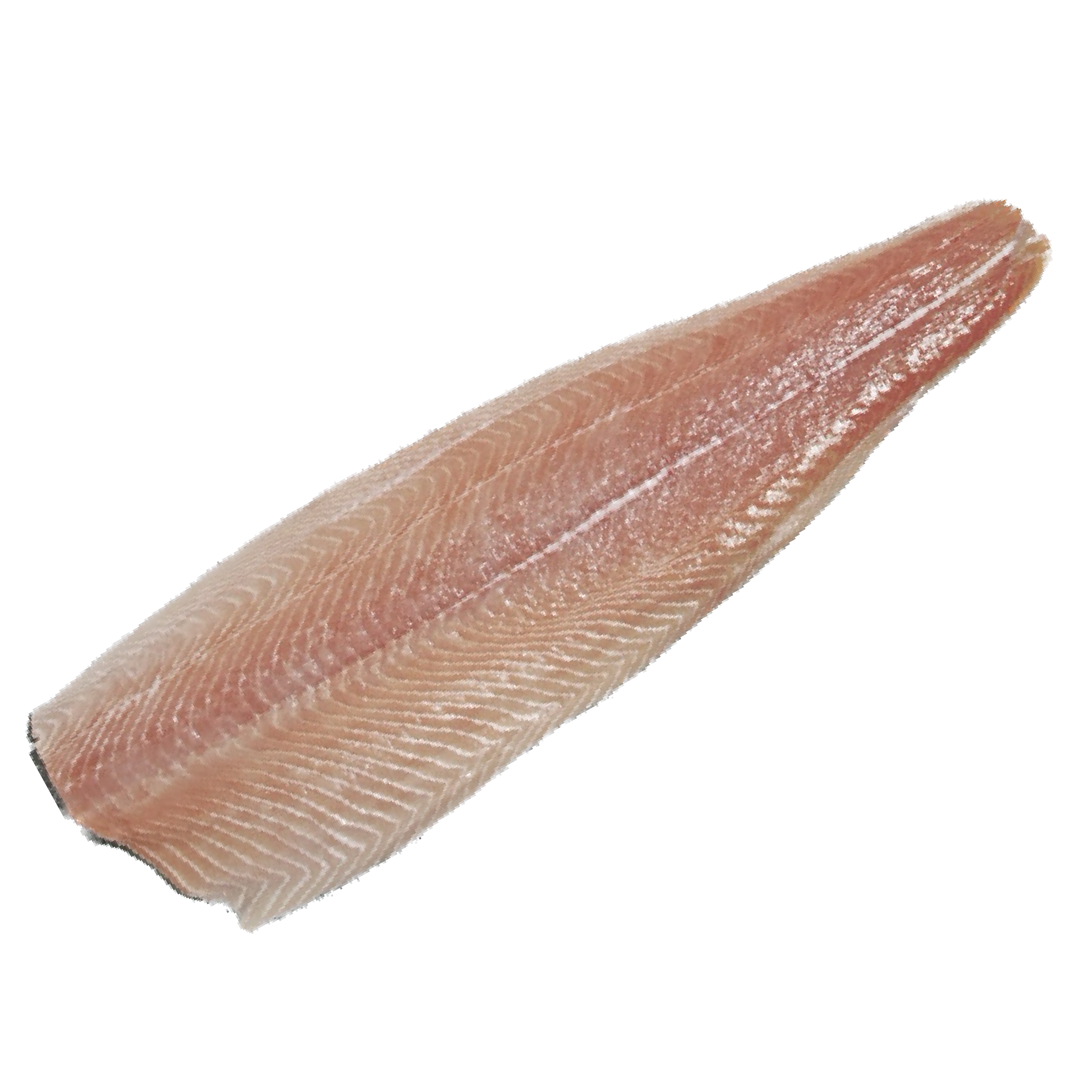 Wild White King Salmon Fillet